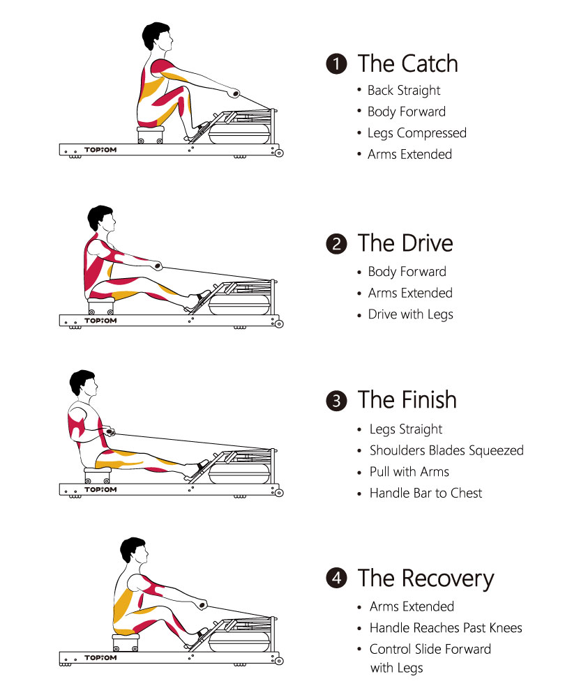 correct indoor rowing postures in the catch, drive, finish and recovery phases