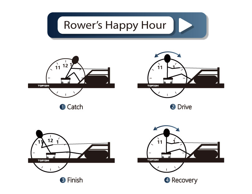 a sketch map describing the correct back positions  in the catch, drive, finish, and recovery phases of rowing
