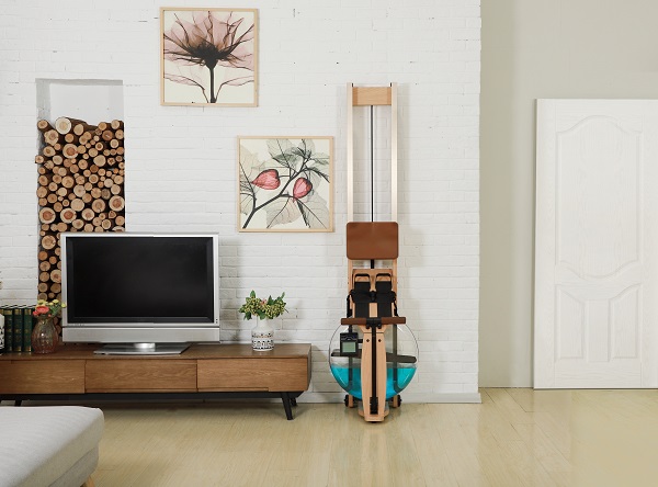 a blue-dyed rower placed upright beside a television