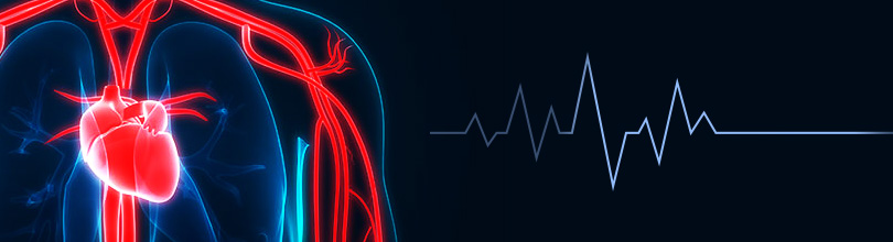 heart, lungs, blood vessels, and electrocardiogram