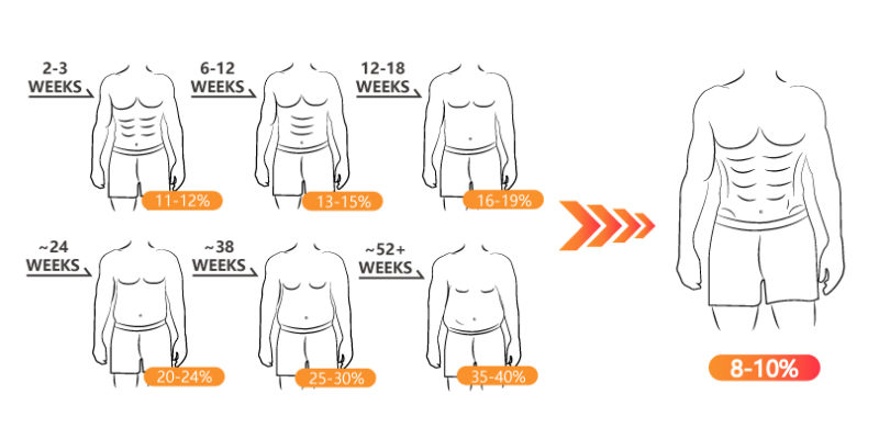 How To Row Belly Fat OFF And Reduce Fat induced Health Risk Topiom how-to-row-belly-fat-off-and-reduce-fat-induced-health-risk-topiom