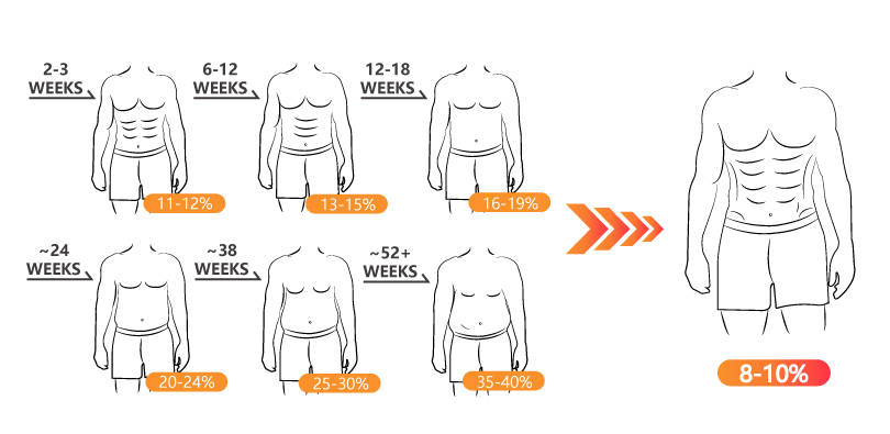 a diagram describing changes of belly fat percentage with time