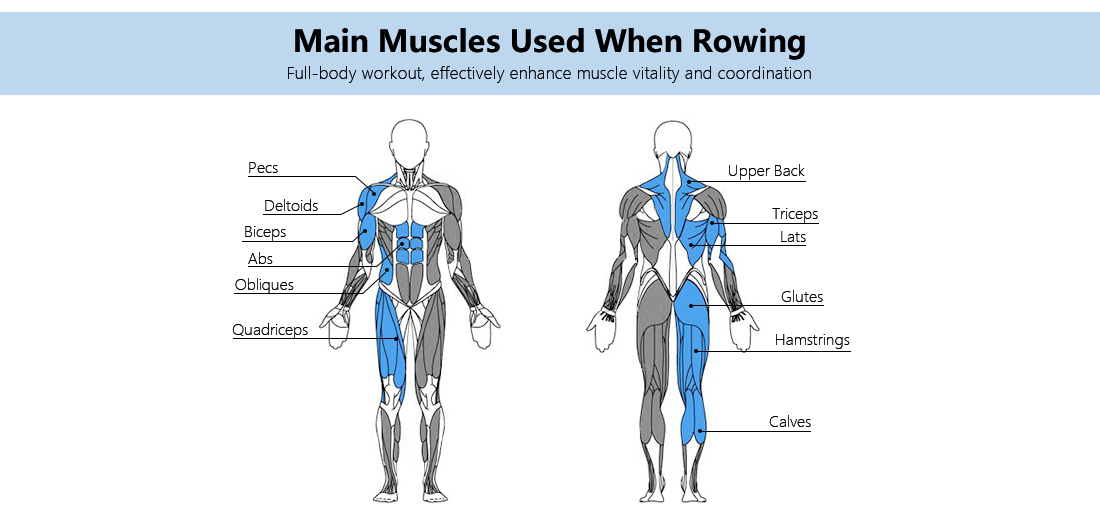 Rowing Machine Benefits Topiom