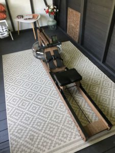 Topiom Rowing Machine With TM3 Monitor photo review