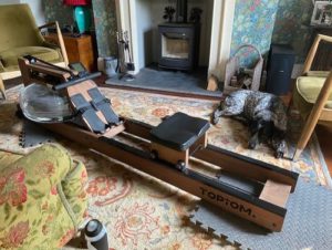 Topiom Rowing Machine With TM3 Monitor photo review