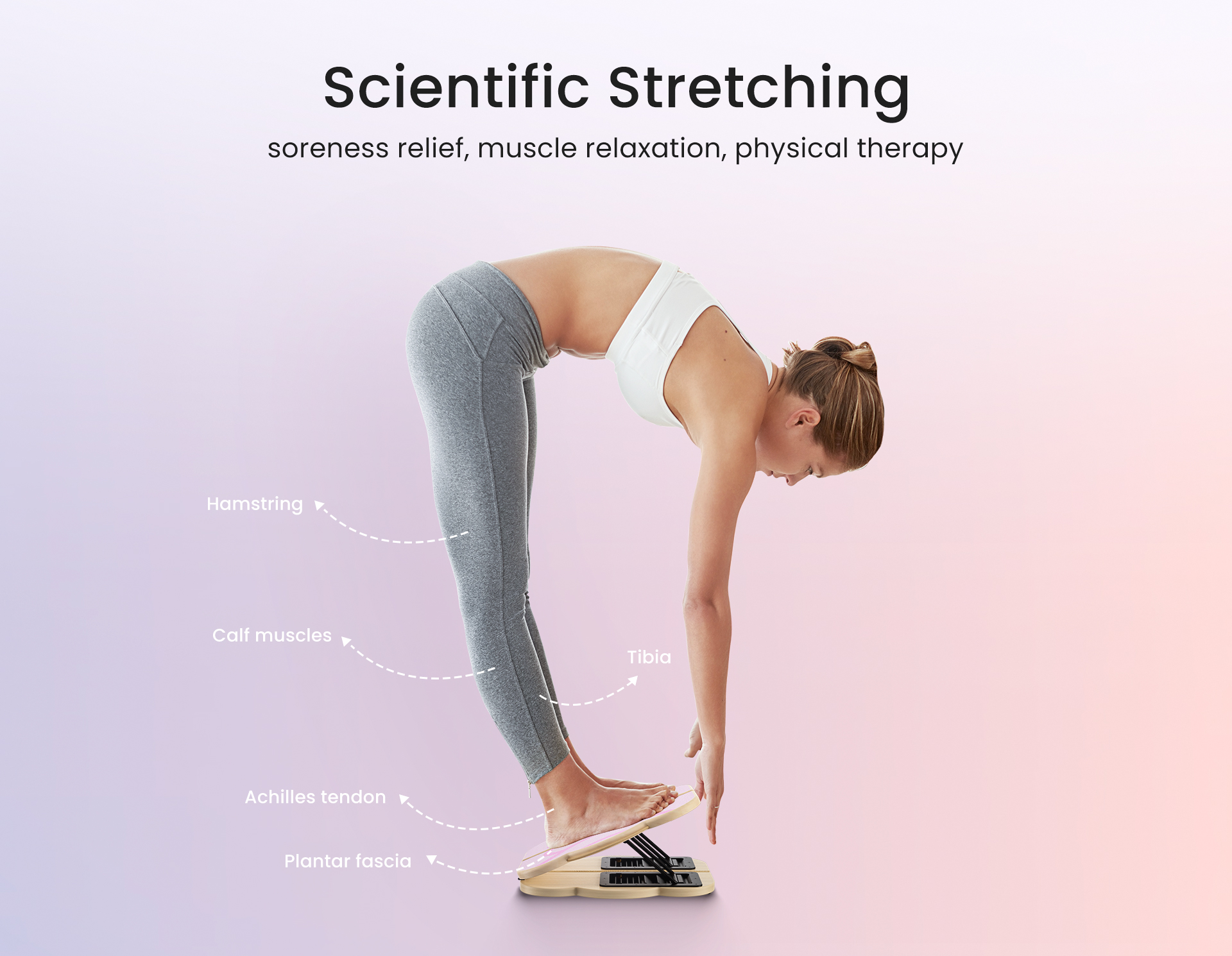 Scientific stretching